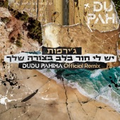 יש לי חור בלב בצורה שלך (DUDU PAHIMA REMIX) artwork