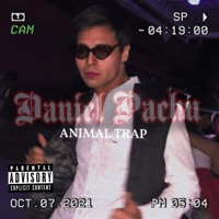 Animal Trap - Single - Daniel Pachu