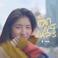 ติดแล้วแหละ - Single - TSN