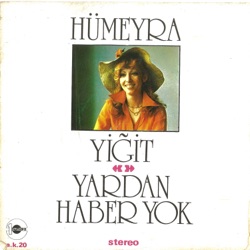Yiğit