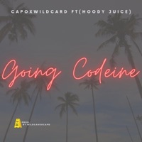 Going Codeine (feat. Capo, wildcard & Hoody Juice) - Single - Geemakes Records