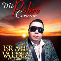 Mi Pobre Corazón - Single - Israel Valdez