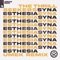 Synaesthesia (UMEK Extended Remix) artwork