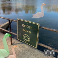 Goose Pond - Single - Ziggy Royal