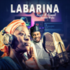 Labarina Dena Kuka - Nazir M Ahmad Sarkin Waka