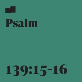 Psalm 139:15-16 (feat. Rivers & Robots) Verses