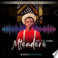 Mtendere (Dmstry Edm Remix) - Single - Molto Zambia & Dmstry