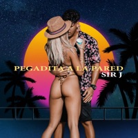 Pegadita A La Pared - Single - Sir J