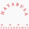 Hayabusa - Tuscandamus lyrics