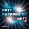 What's Up (Gainworx Remix) - Pete Sheppibone lyrics