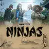 Stream & download Ninjaz - Single