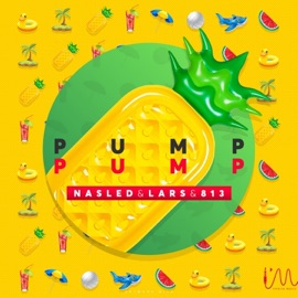 Pump Nasled & Lars & 813