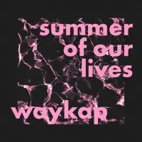 Summer of Our Lives (feat. Emmi) — waykap