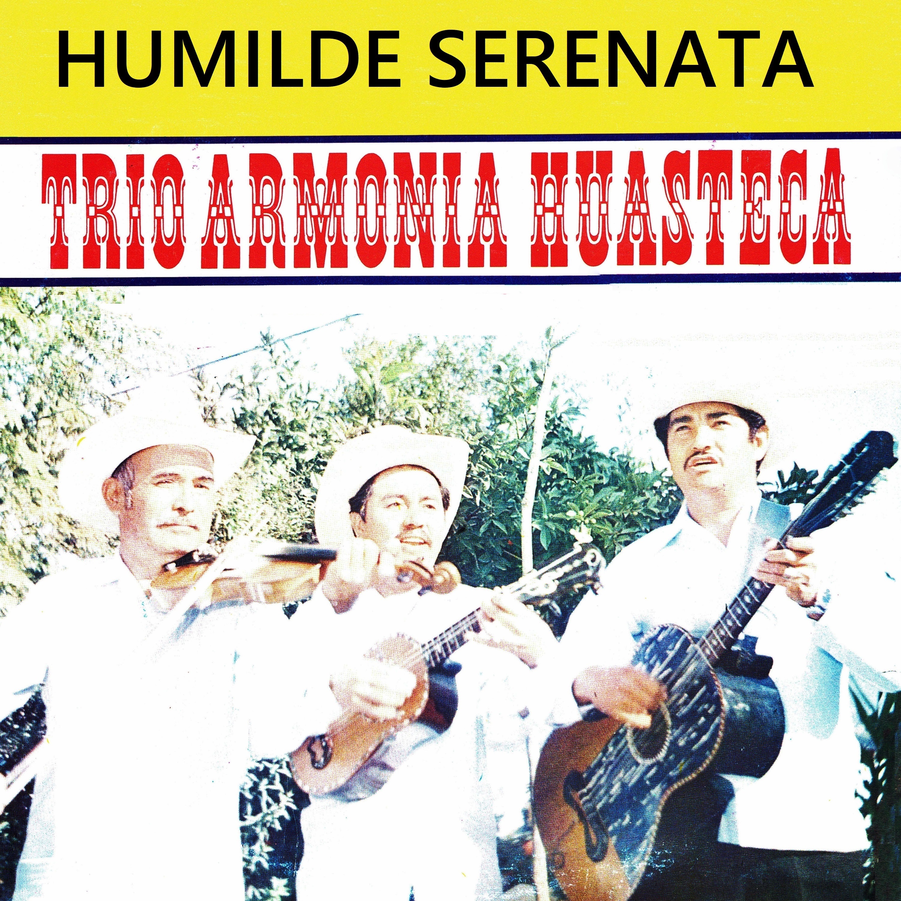 Humilde Serenata