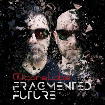 Fragmented Future