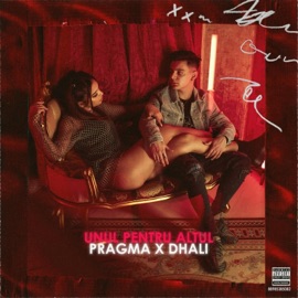 Unul Pentru Altul (feat. Dhali) Pragma