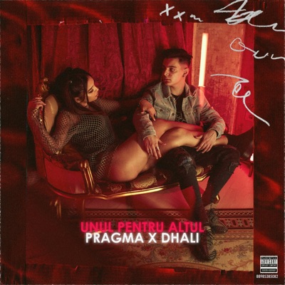 Unul Pentru Altul (feat. Dhali) - Single