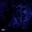Stars - Single