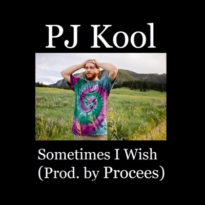 Sometimes I Wish - Single