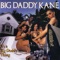 The House That Cee Built - Big Daddy Kane lyrics