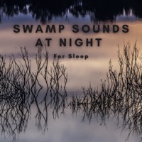 Swamp Sounds at Night for Sleep - Natural Sounds Selections, Nature Sound Collection & Zen Sounds