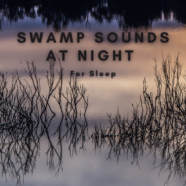 Swamp Sounds at Night for Sleep