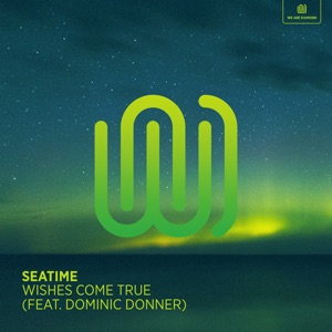 Wishes Come True (feat. Dominic Donner) - Single