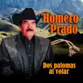 Dos Palomas Al Volar