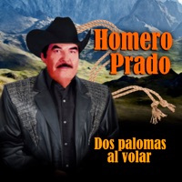 Dos Palomas Al Volar