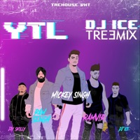 YTL Treemix (feat. Mickey Singh, Pam Sengh, Ramvir & Jay Skilly) - Single - DJ Ice