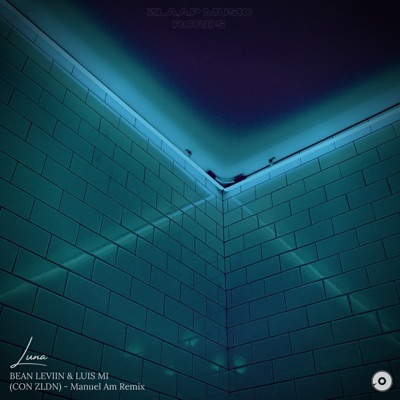 Luna (feat. ZLDN) - Single