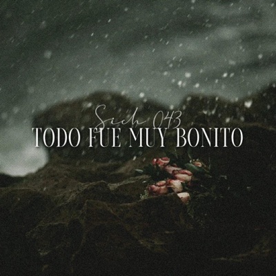 Todo Fue Muy Bonito - Single