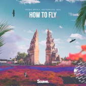 How To Fly artwork
