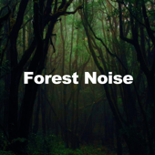Forest Noise