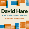 David Hare: A BBC Radio Drama Collection - David Hare