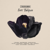 Sort Tulipan - Folkeklubben