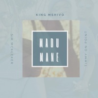 Madumane (feat. Timmy OnPoint) - Single - King Mshivo, Sir McKleker & Timmy On Point
