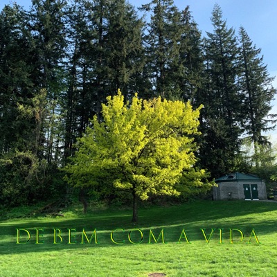 De Bem Com a Vida - Single