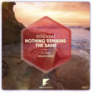 Nothing Remains the Same - Single