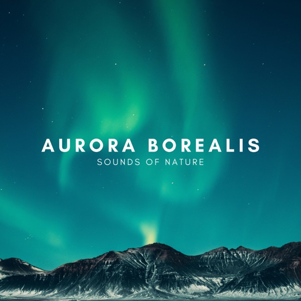 Aurora Borealis Sounds of Nature