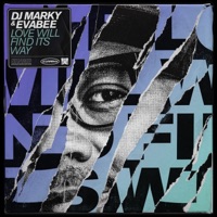 Love Will Find Its Way - Single - DJ Marky & Evabee