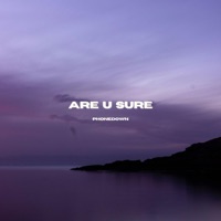 are u sure - Single - Phonedown