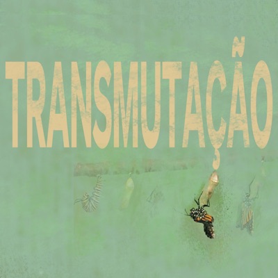 Transmutação - Single