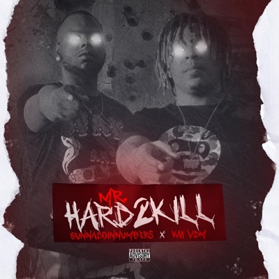 Mr.Hard2Kill (feat. Kay VDM) - Single