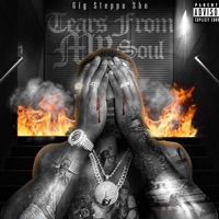 Better In the Dark (feat. Cryssy Bandz) - Single - 6ig Steppa Sho