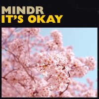 It's Okay - Single - Mindr
