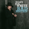 Tony Joe White