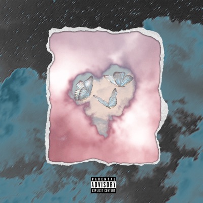 Feelings Make Memories