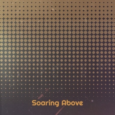 Pawel Sarniak - Soaring Above