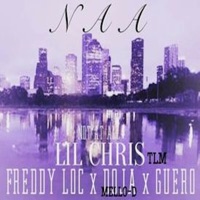 Naa (feat. Freddy Loc, Doja Mello-D & Guero) - Single - Lil Chris Tlm